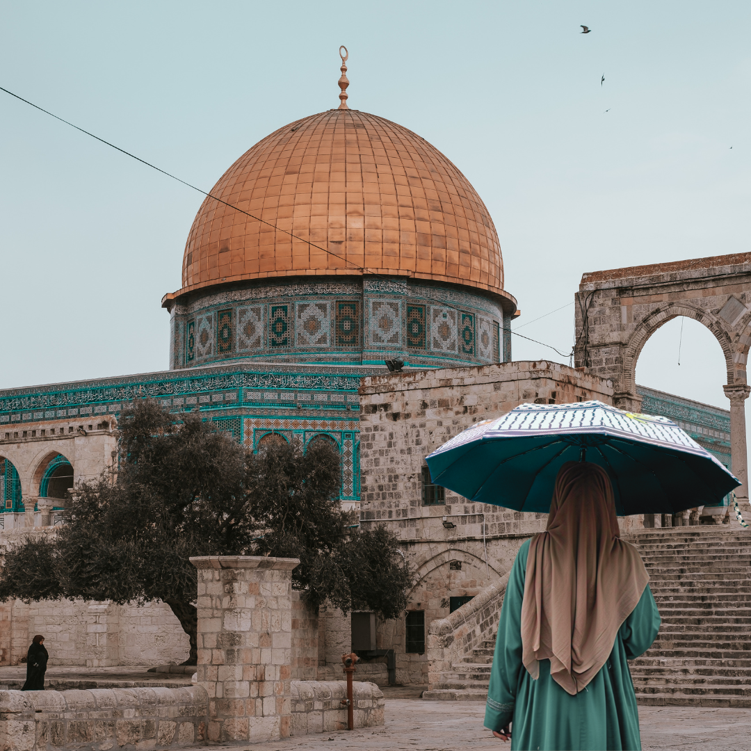 Teduh: The Solidarity Umbrella