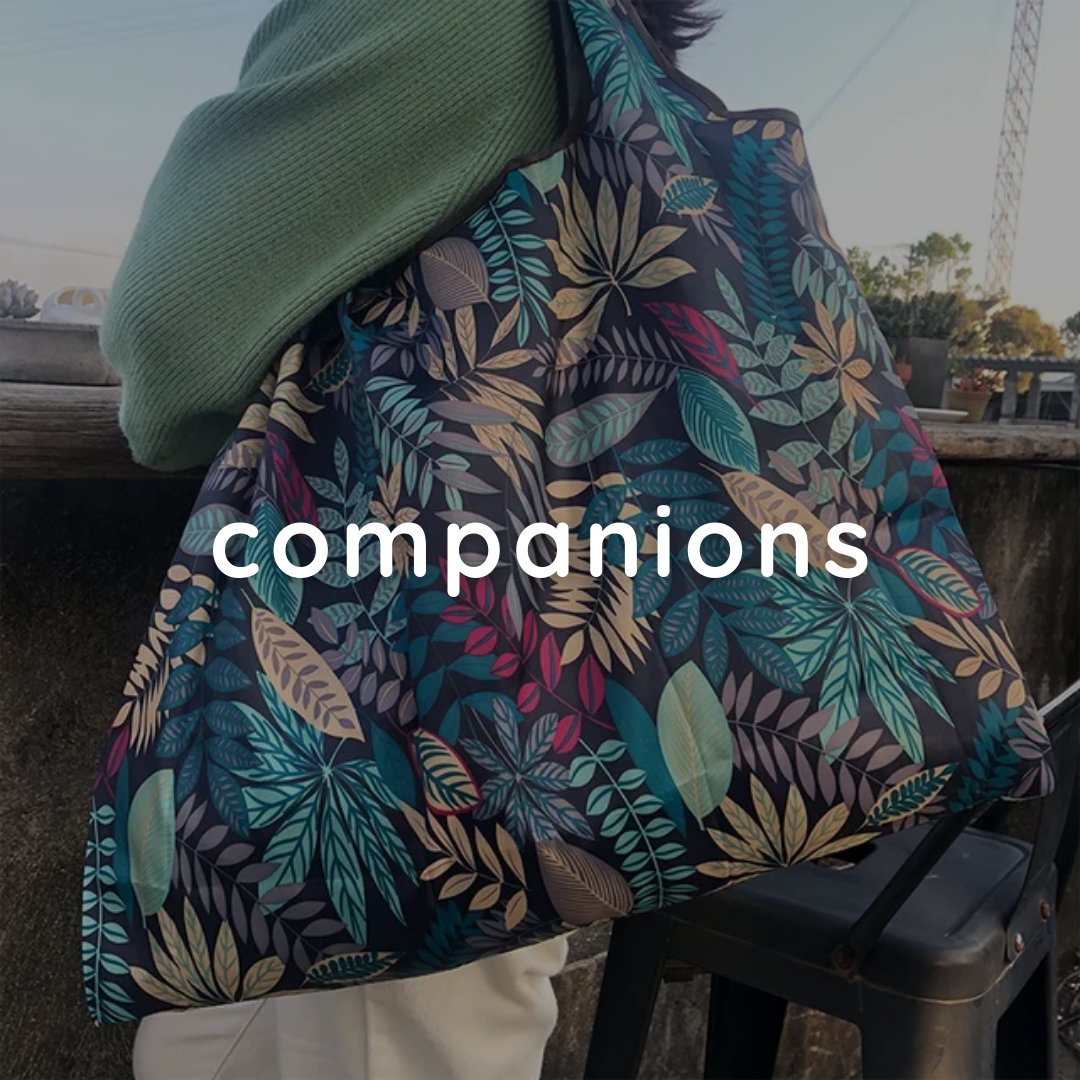 Companions
